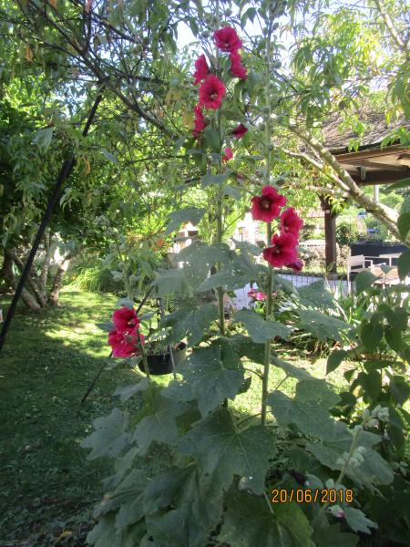 Foto dell'alloggio