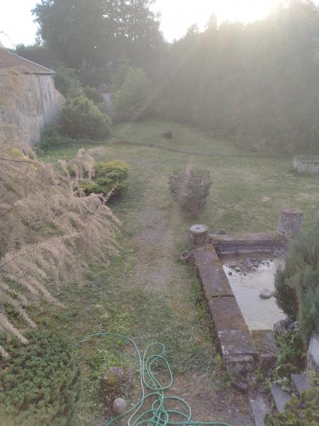 Foto dell'alloggio