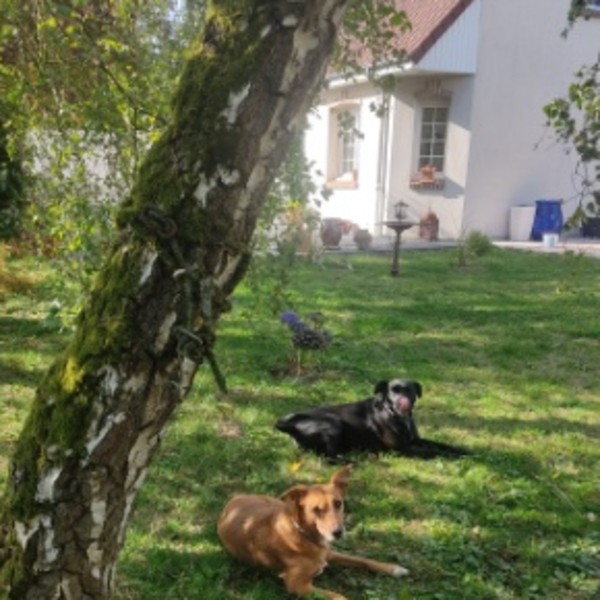 Foto dell'alloggio