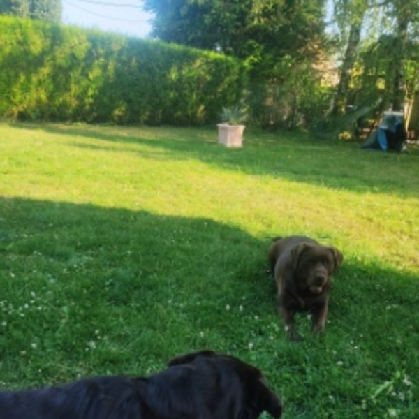 Foto dell'alloggio