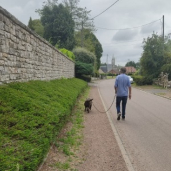 Foto dell'alloggio