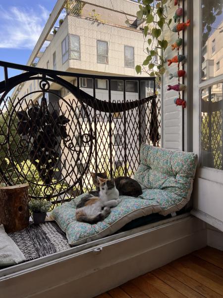 Foto dell'alloggio