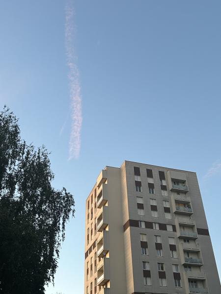 Foto dell'alloggio