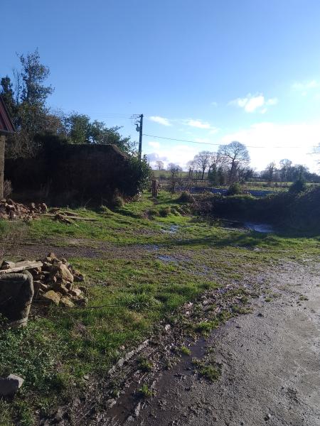Foto dell'alloggio