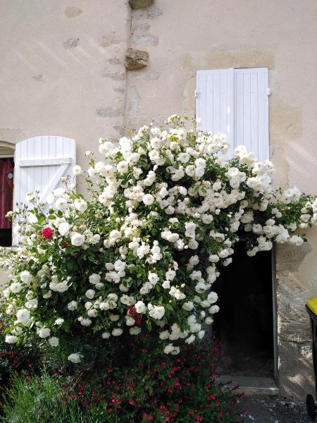 Foto dell'alloggio