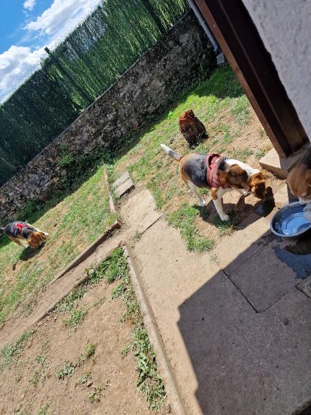 Foto dell'alloggio
