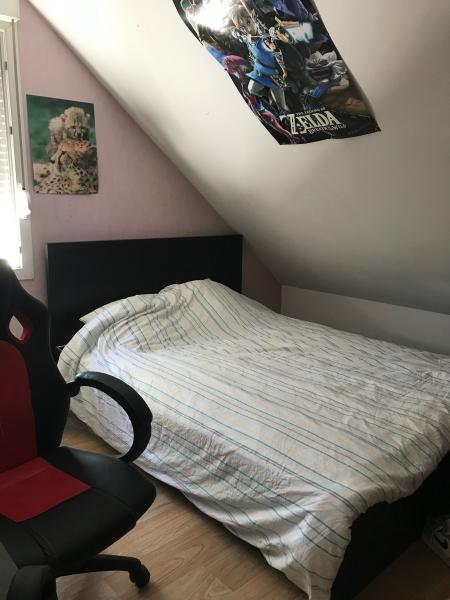 Foto dell'alloggio