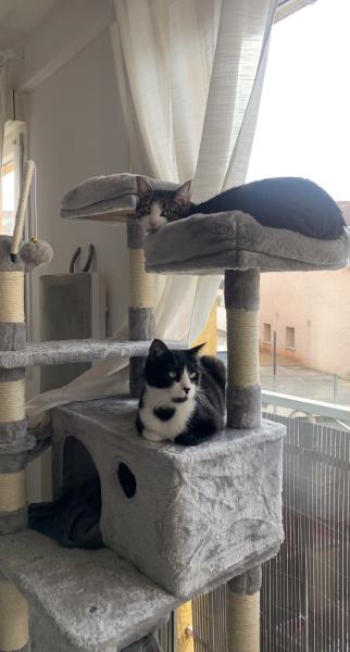 Foto dell'alloggio