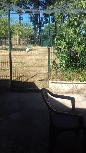 Foto dell'alloggio