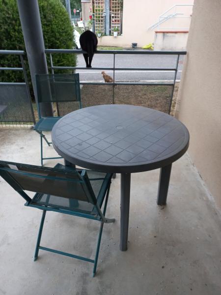 Foto dell'alloggio