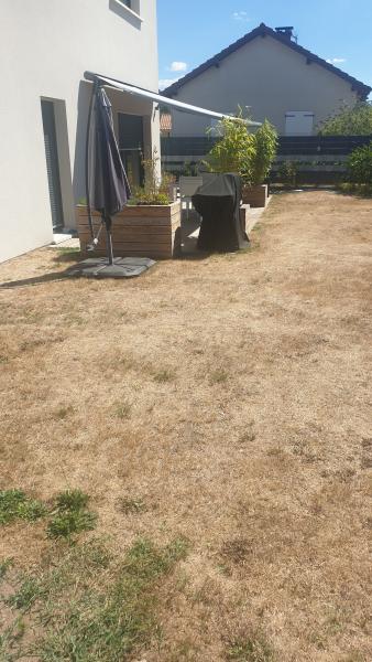 Foto dell'alloggio