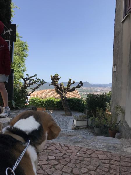 Foto dell'alloggio