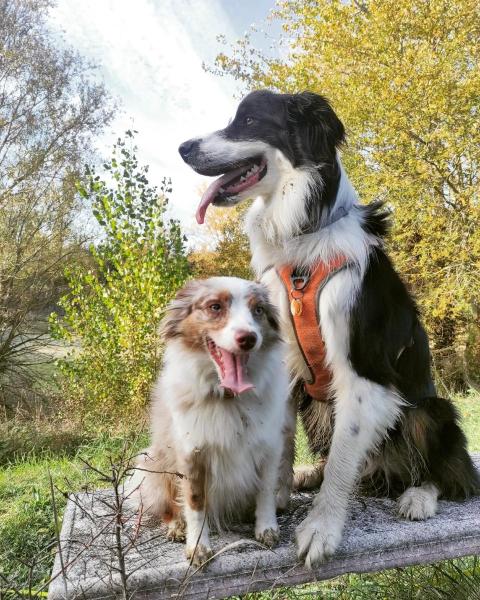 Foto dell'alloggio