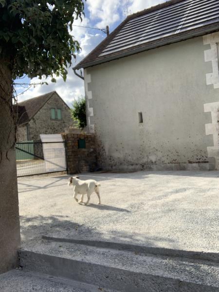 Foto dell'alloggio