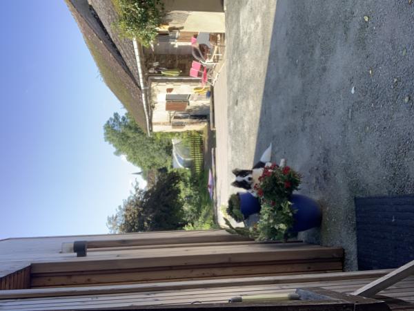Foto dell'alloggio