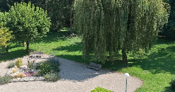 Foto dell'alloggio