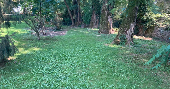 Foto dell'alloggio