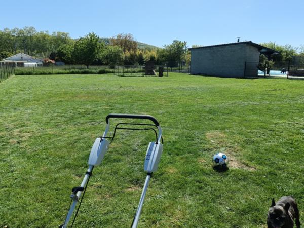 Foto dell'alloggio