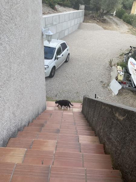 Foto dell'alloggio