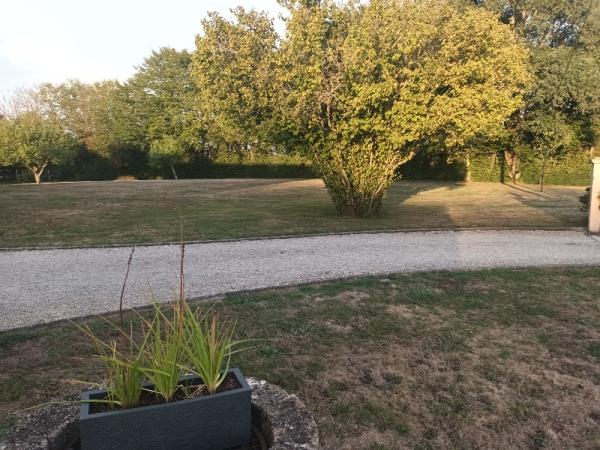 Foto dell'alloggio
