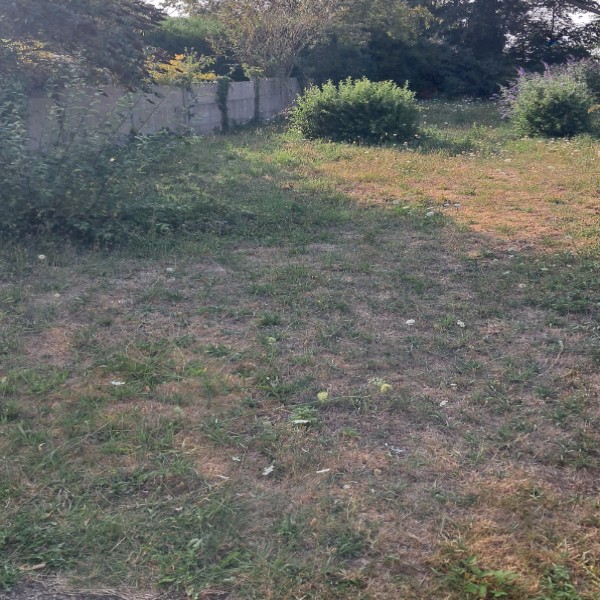 Foto dell'alloggio