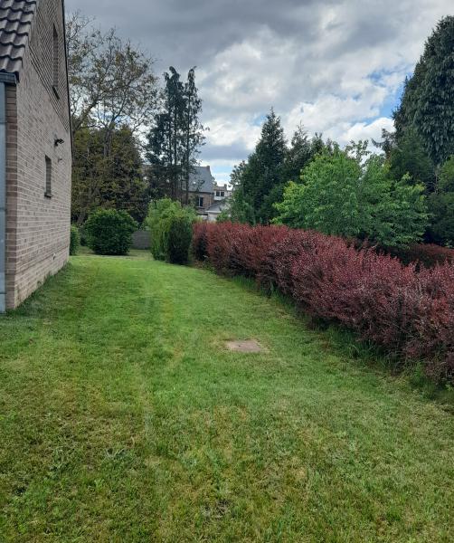 Foto dell'alloggio