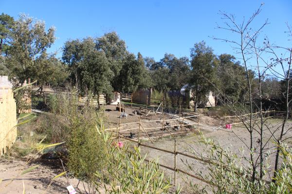 Foto dell'alloggio