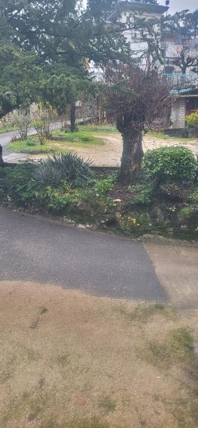 Foto dell'alloggio