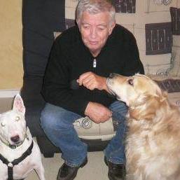Foto dell'alloggio