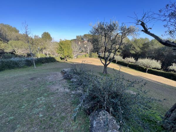 Foto dell'alloggio