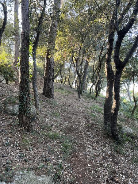 Foto dell'alloggio
