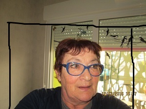 Foto dell'alloggio