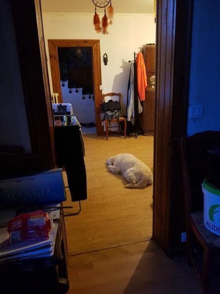 Foto dell'alloggio