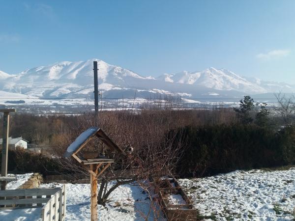 Foto dell'alloggio