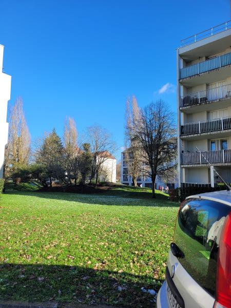 Foto dell'alloggio