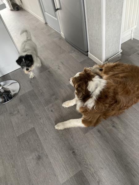 Foto dell'alloggio
