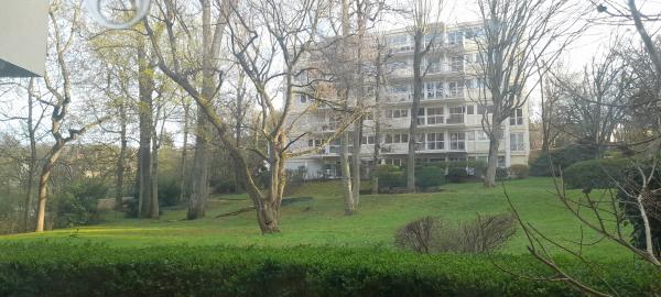 Foto dell'alloggio
