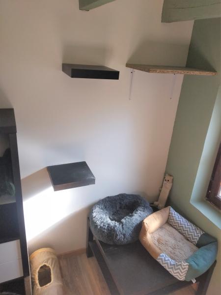 Foto dell'alloggio