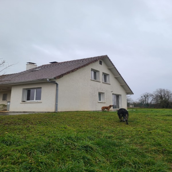 Foto dell'alloggio