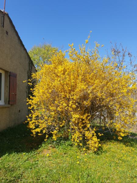 Foto dell'alloggio