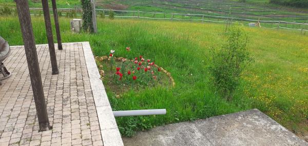 Foto dell'alloggio