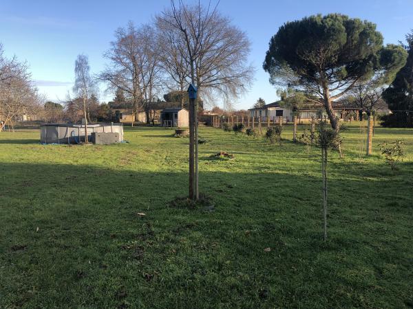 Foto dell'alloggio