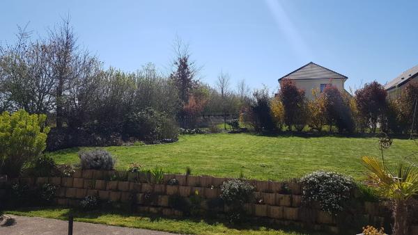 Foto dell'alloggio