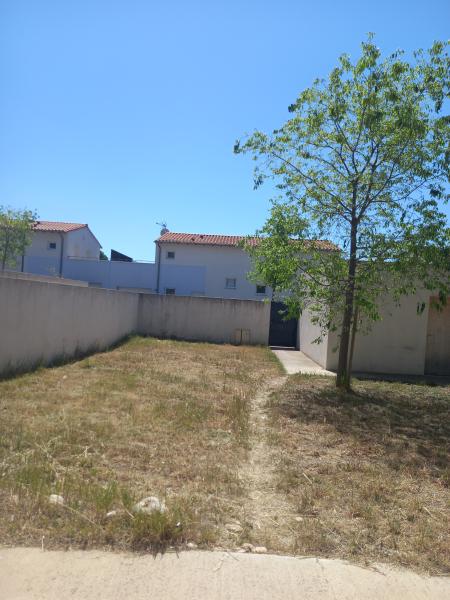 Foto dell'alloggio
