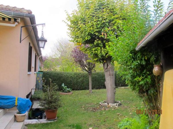 Foto dell'alloggio