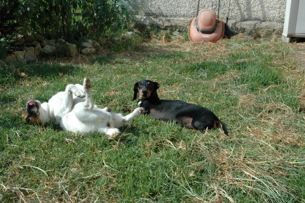 Foto dell'alloggio