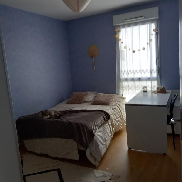 Foto dell'alloggio