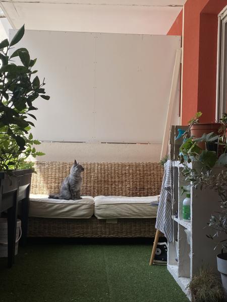 Foto dell'alloggio