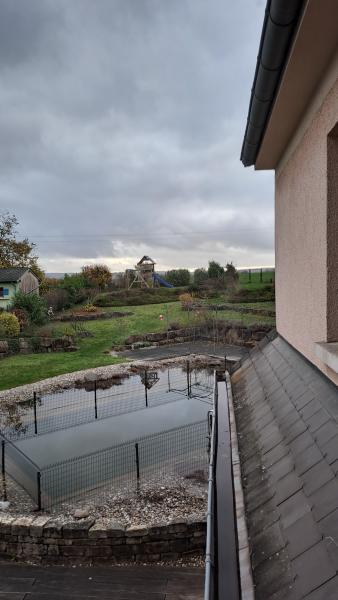 Foto dell'alloggio