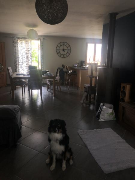 Foto dell'alloggio